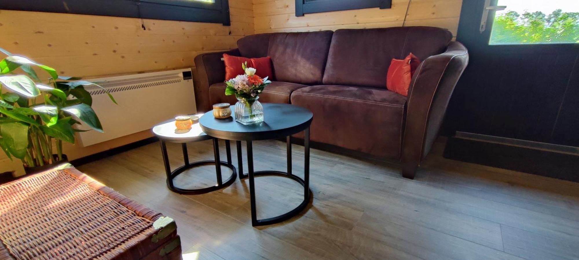 Chalet In Het Groen Met Airco Drachtstercompagnie Exterior foto